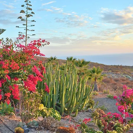 Finca La Tosca Guia de Isora (Tenerife)